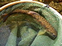 2007-03-01 020.JPG